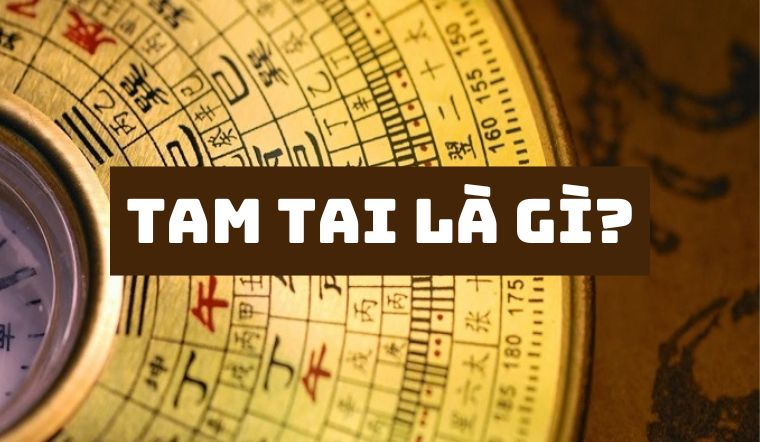Tuổi Tam Tai Năm 2024: Những Điều Cần Biết Cho Một Năm Bình An Tuổi Tam Tai Năm 2024: Những Điều Cần Biết Cho Một Năm Bình An