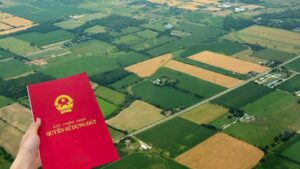 Cách tính giá đền bù đất nông nghiệp