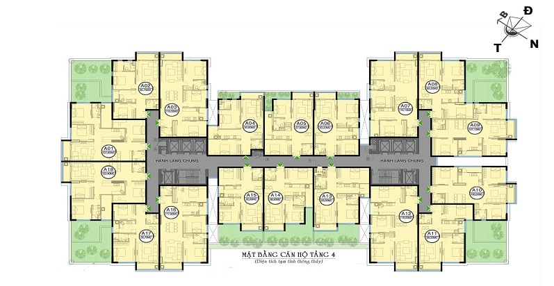 Mặt Bằng Dự Án Thanh Xuân Complex