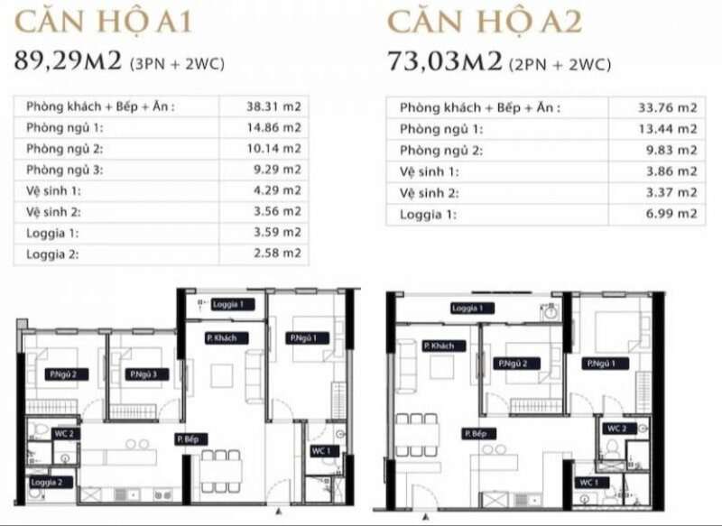 Thiết kế căn hộ Anland Lake View