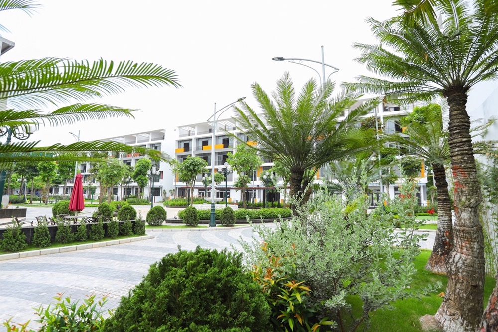 Hình Ảnh Thực Tế Chung Cư Bình Minh Garden