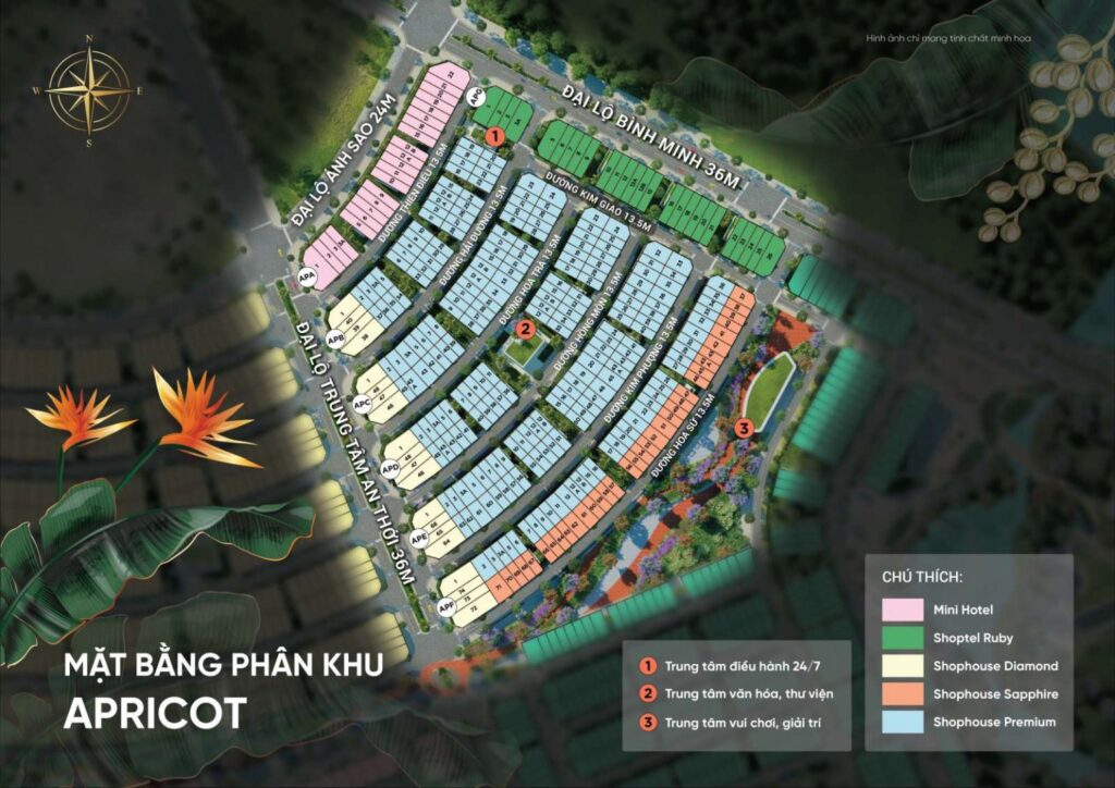 PHÂN KHU APRICOT