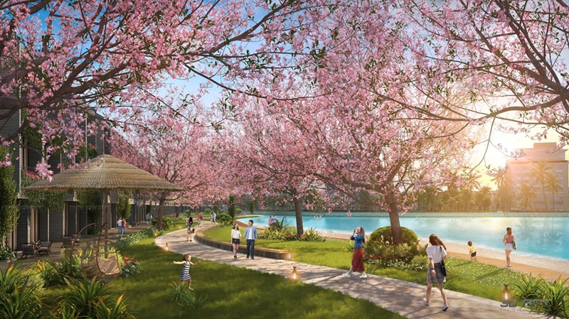 Tiện ích dự án TMS Homes Wonder World Vĩnh Yên